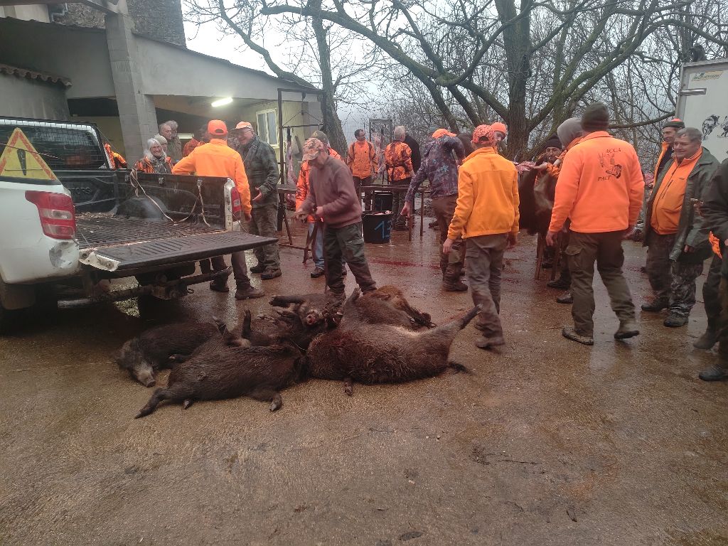 Accueil Elevage De La Dent Dure Eleveur De Chiens Petit Epagneul De