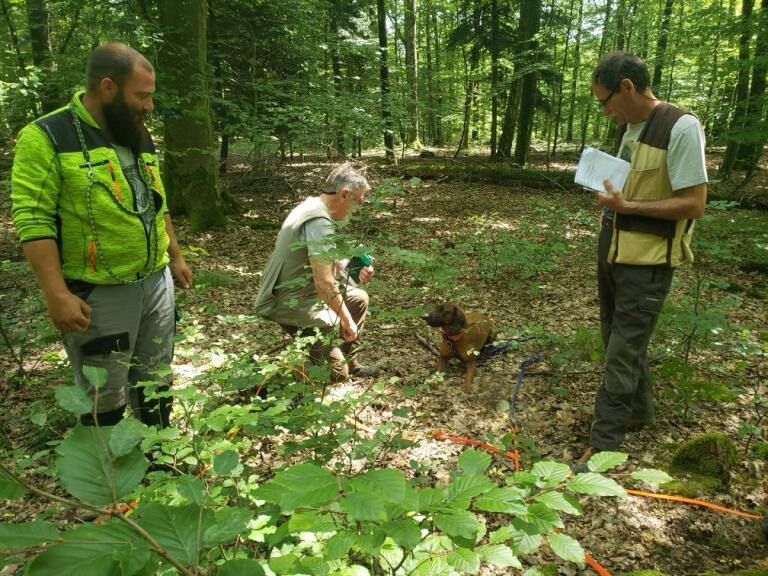 De la dent dure - Tilia de la Dent Dure brille chez Philippe et Béranger ... 