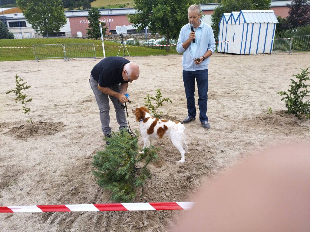 De la dent dure - Didier , le cavage des truffes 