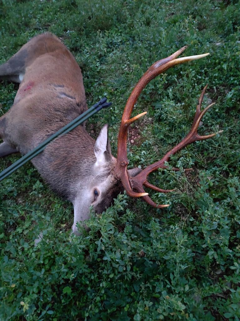 De la dent dure - Émotions de chasse ... c'est fait.