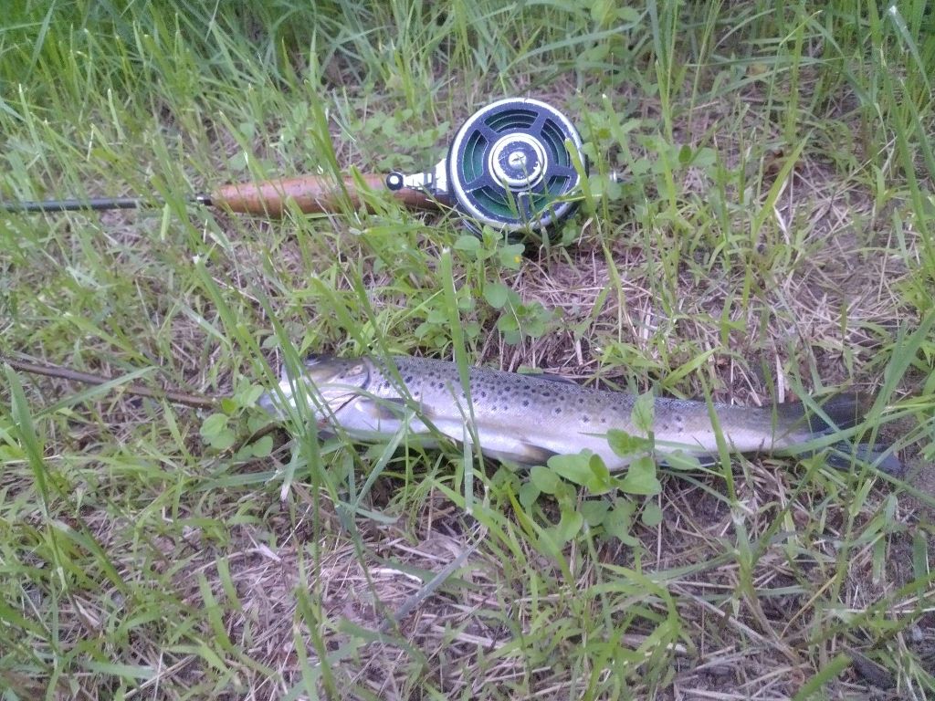 De la dent dure - Pêcher pour manger ...