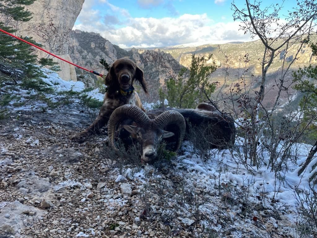 De la dent dure - Jäger et Pierre ont été très bons , bravo ...