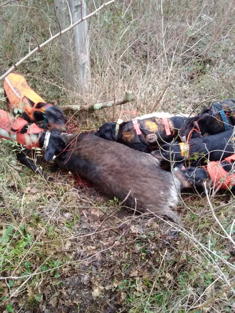 De la dent dure - Beau mercredi au Rouet ...