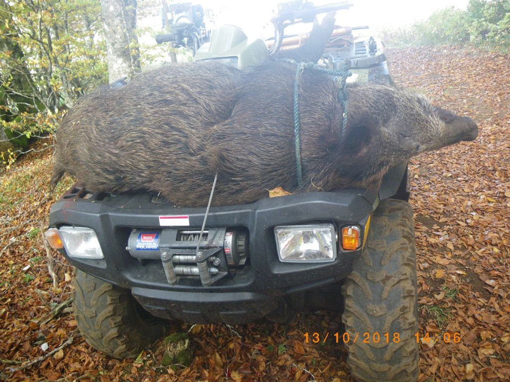 De la dent dure - Samedi à Brameloup .