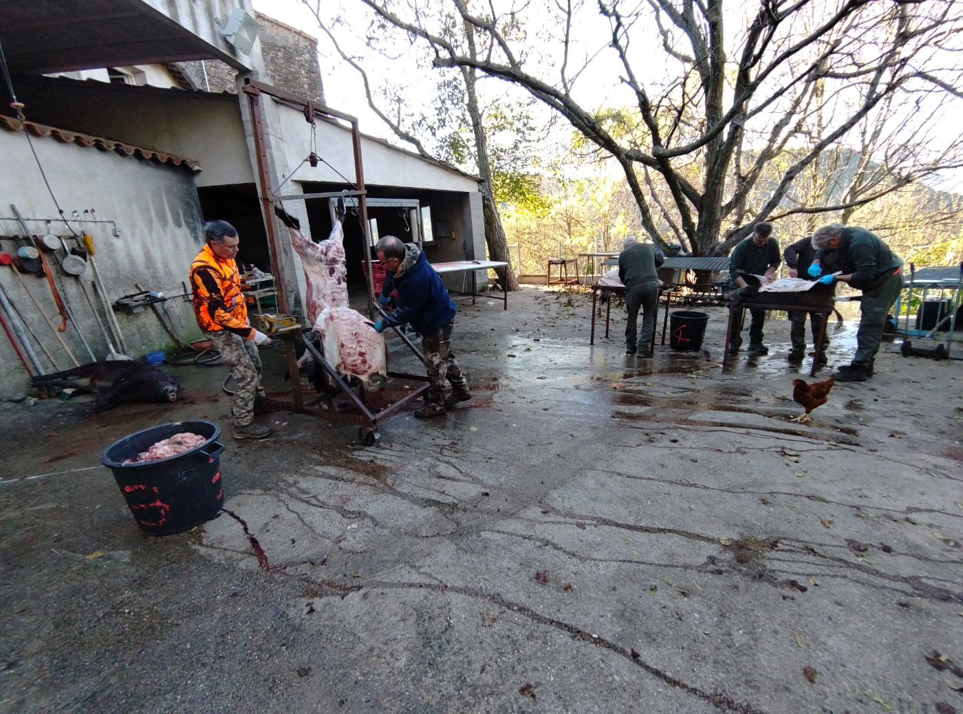 De la dent dure - Weekend normal ...