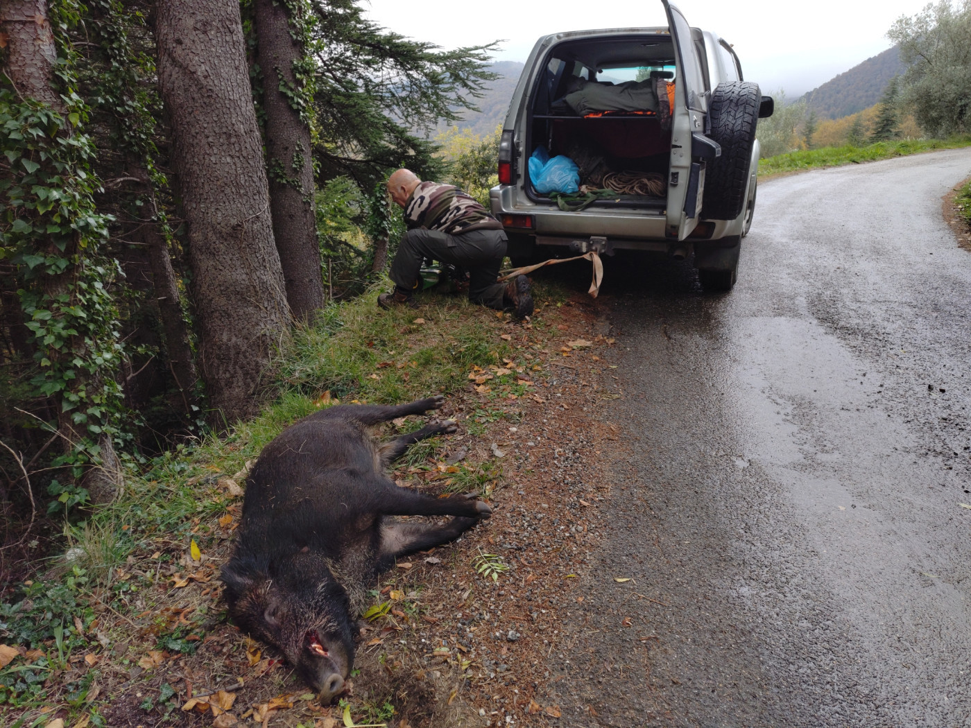 De la dent dure - Un "weekend" en milieu de semaine...