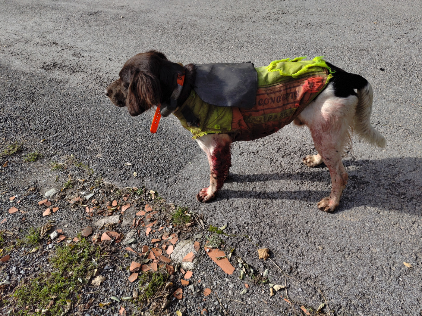 De la dent dure - Et ça continue ...
