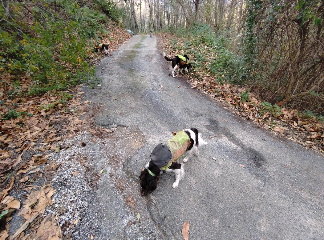 Mercredi à Pommiers .