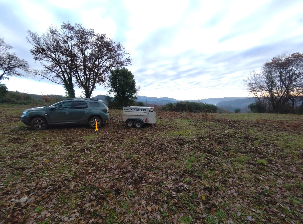 De la dent dure - Samedi intéressant .