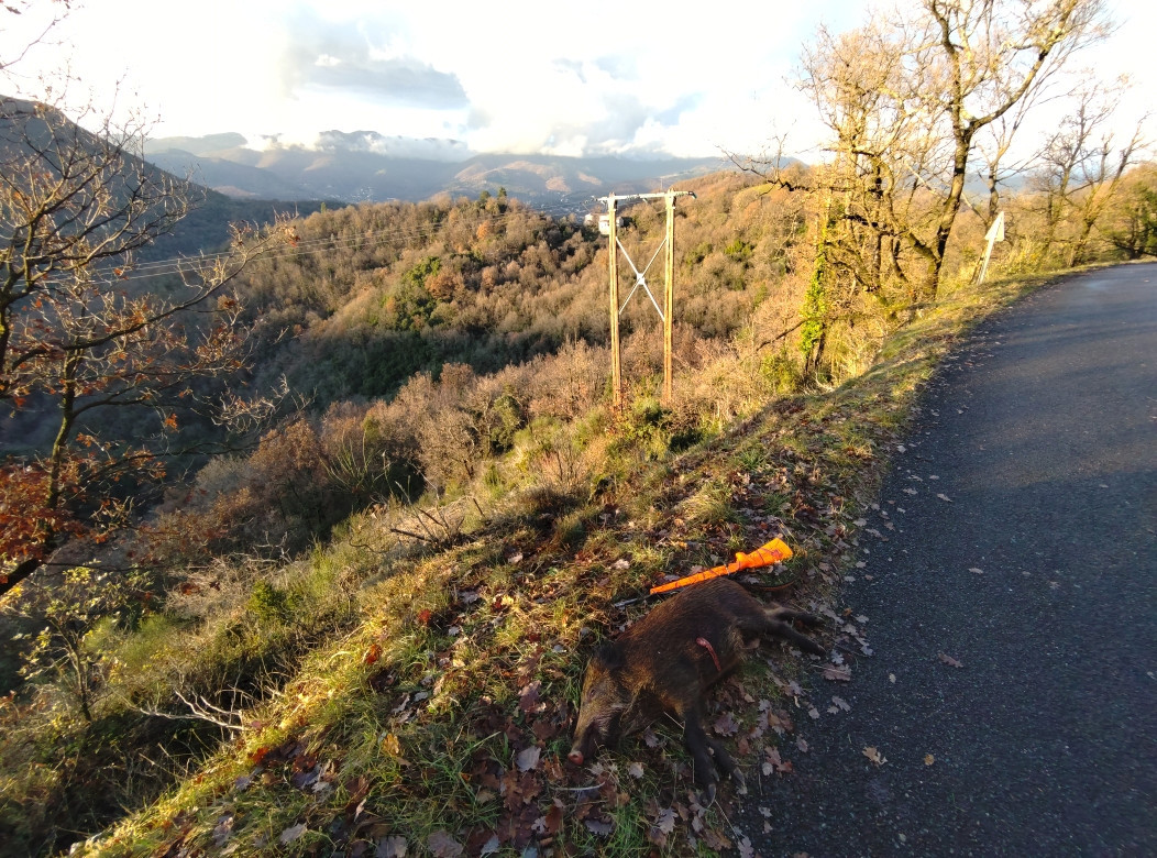 De la dent dure - Quand ça ne veut pas rigoler ...