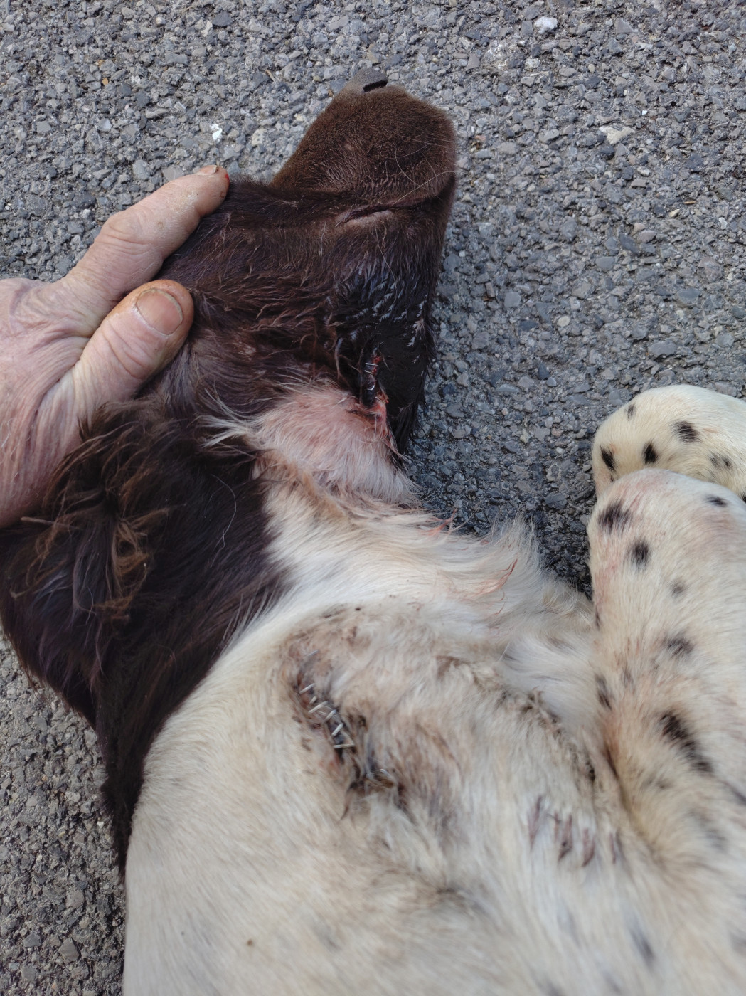 Mercredi frisquet ...