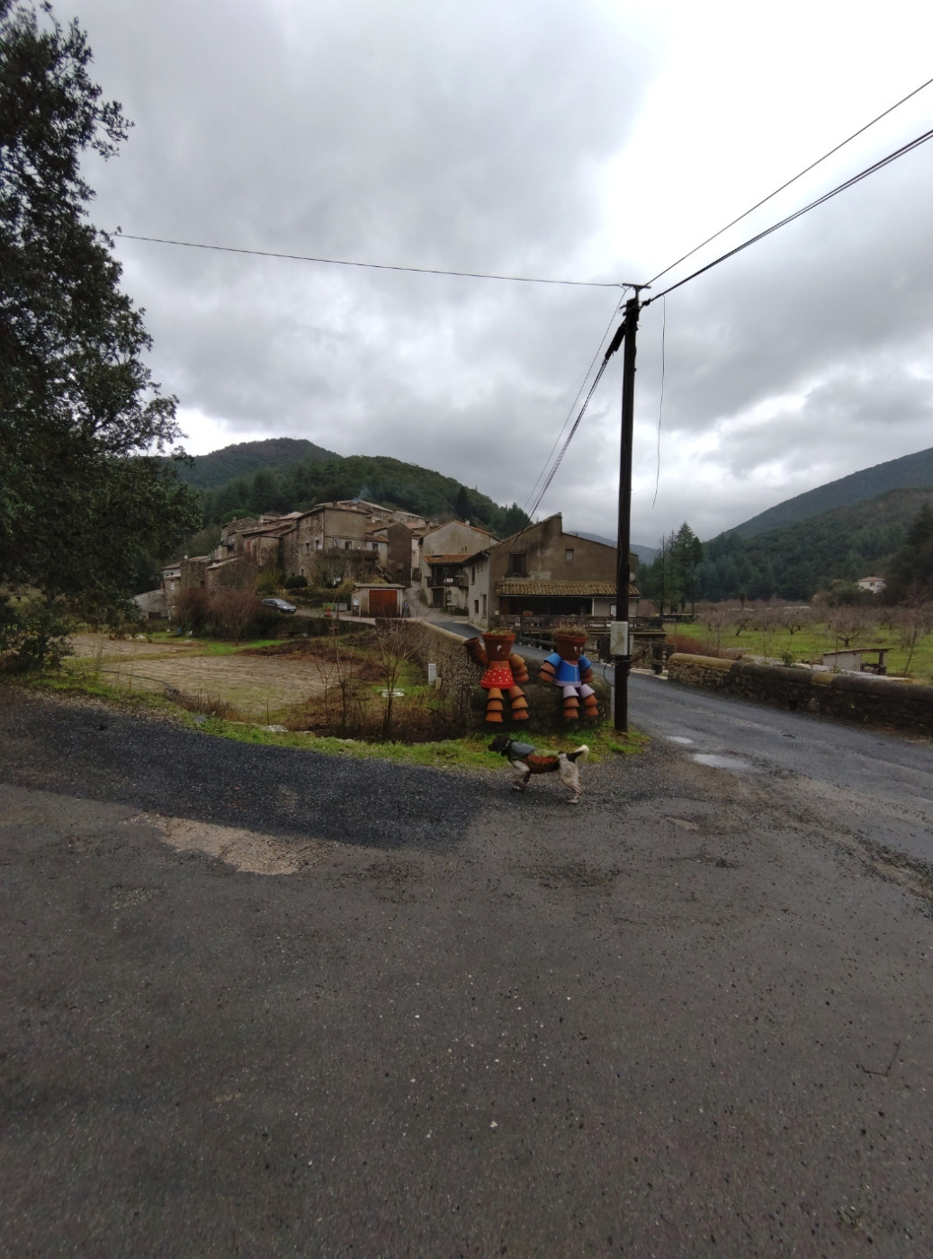 De la dent dure - Mercredi " moyen" ...