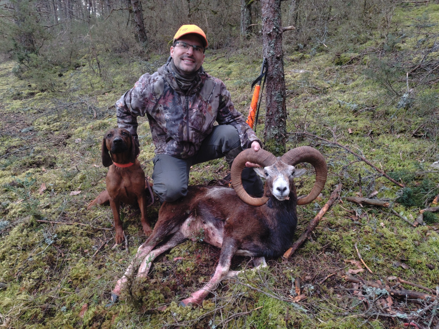 De la dent dure - Magie de la recherche au sang ...