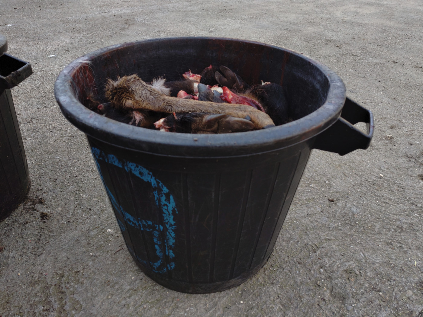 De la dent dure - Weekend de fermeture ...