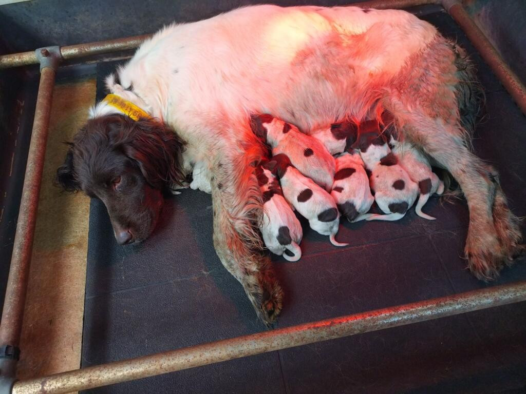 De la dent dure - Retour au calme ...