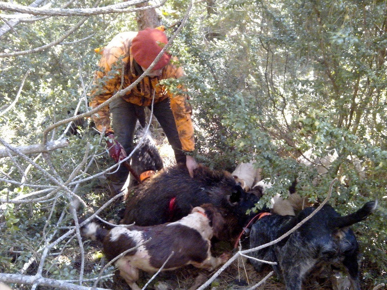 De la dent dure - Demain Calmels , le Luc .