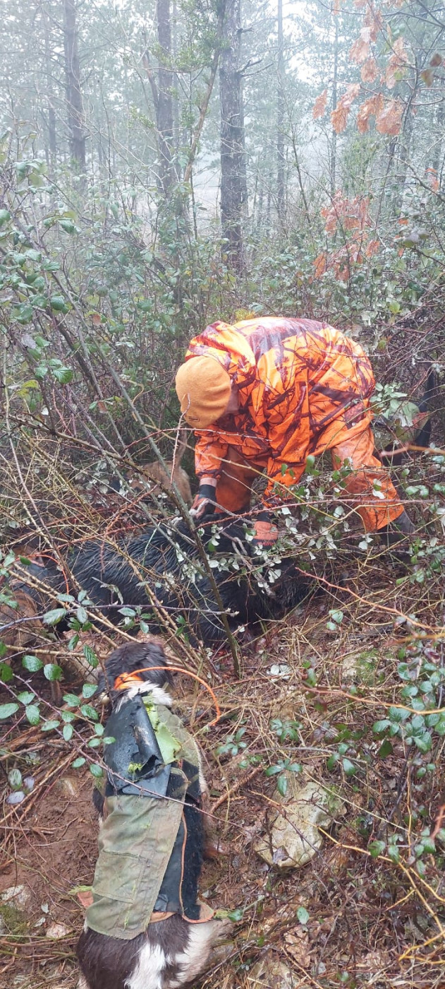 De la dent dure - Temps exécrable mais bonne séance quand même...