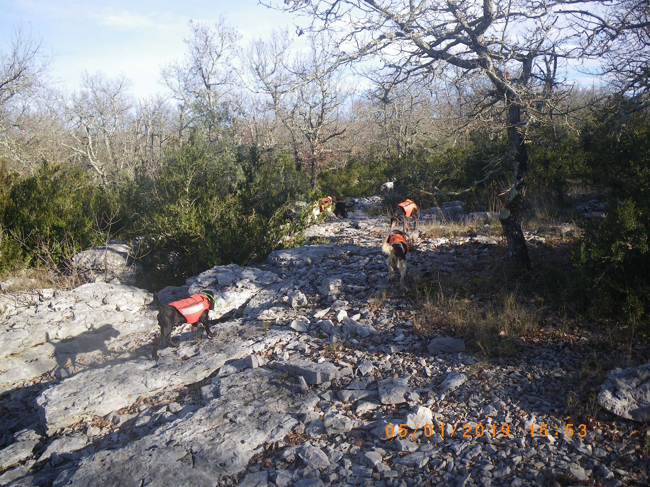 Samedi au Pic Saint Loup ...