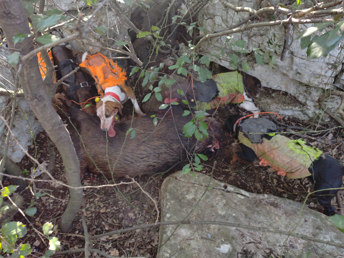 Samedi chez Gilles ...