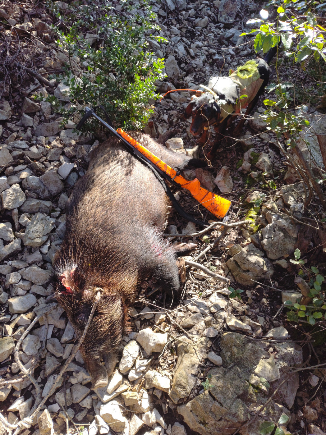 Ils m'ont pris ça !