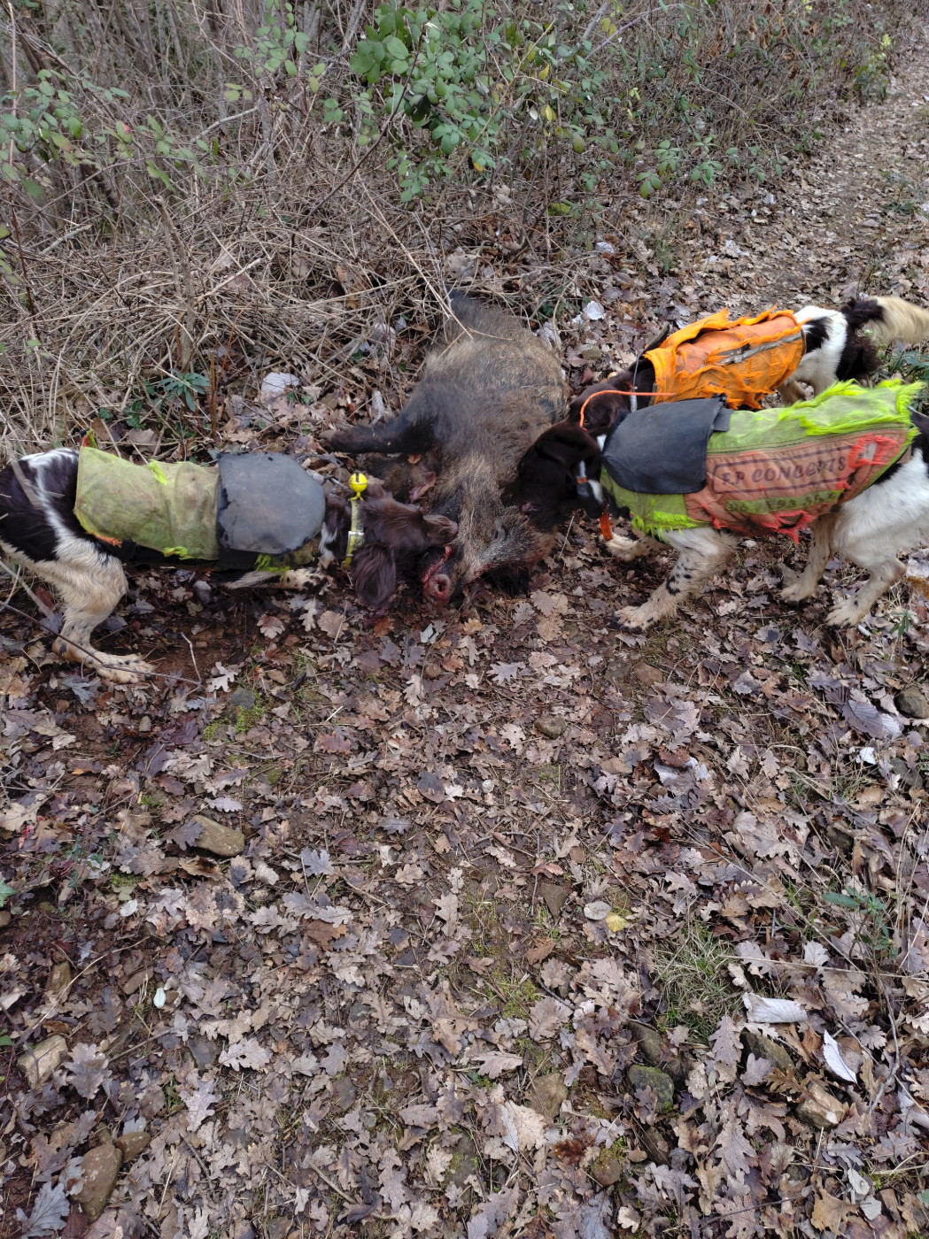 Deux heures par jour minimum ...