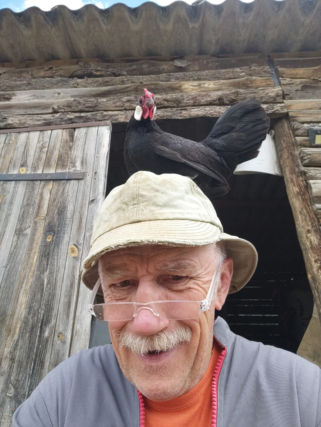 De la dent dure - Très familières ...