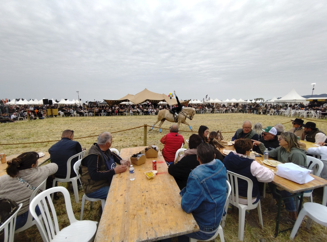 De la dent dure - Sud Traditions , vraiment , sacré salon ...