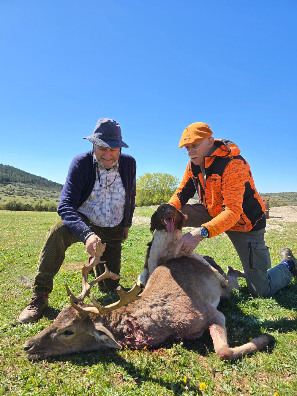 De la dent dure - Recherche de ce matin .