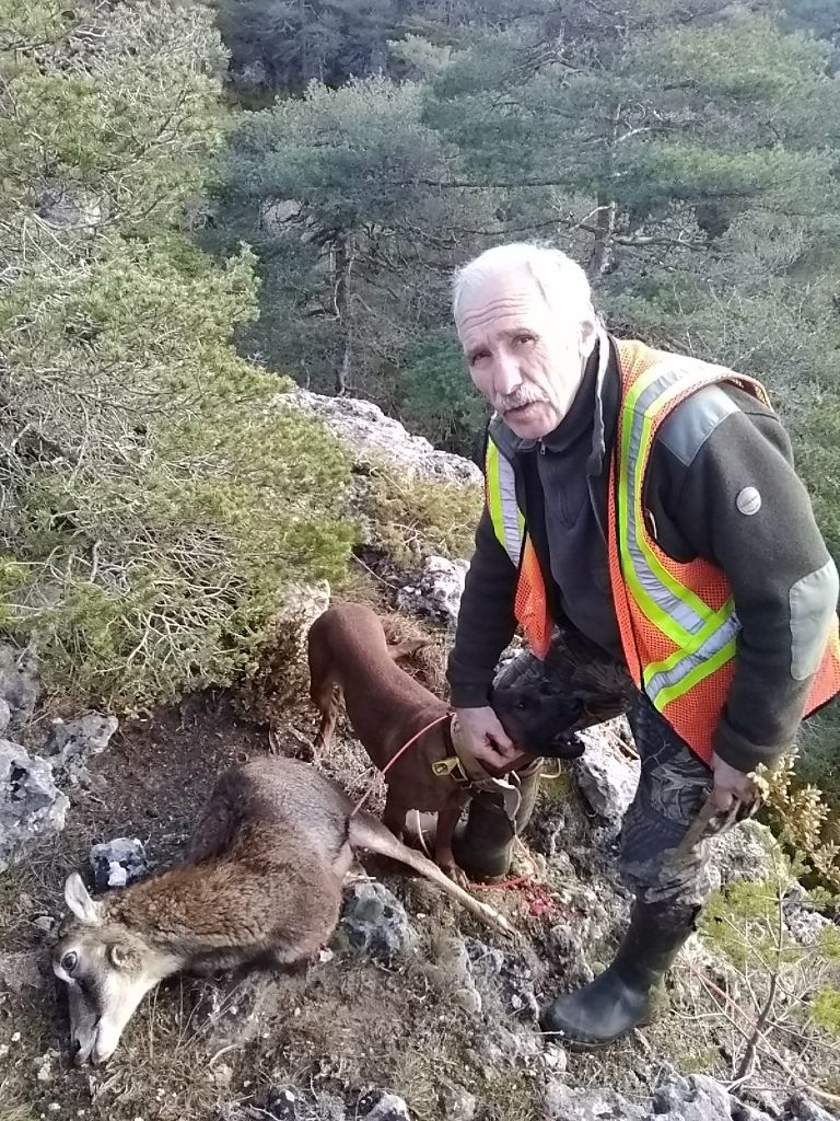 De la dent dure - Marc et sa brebis .