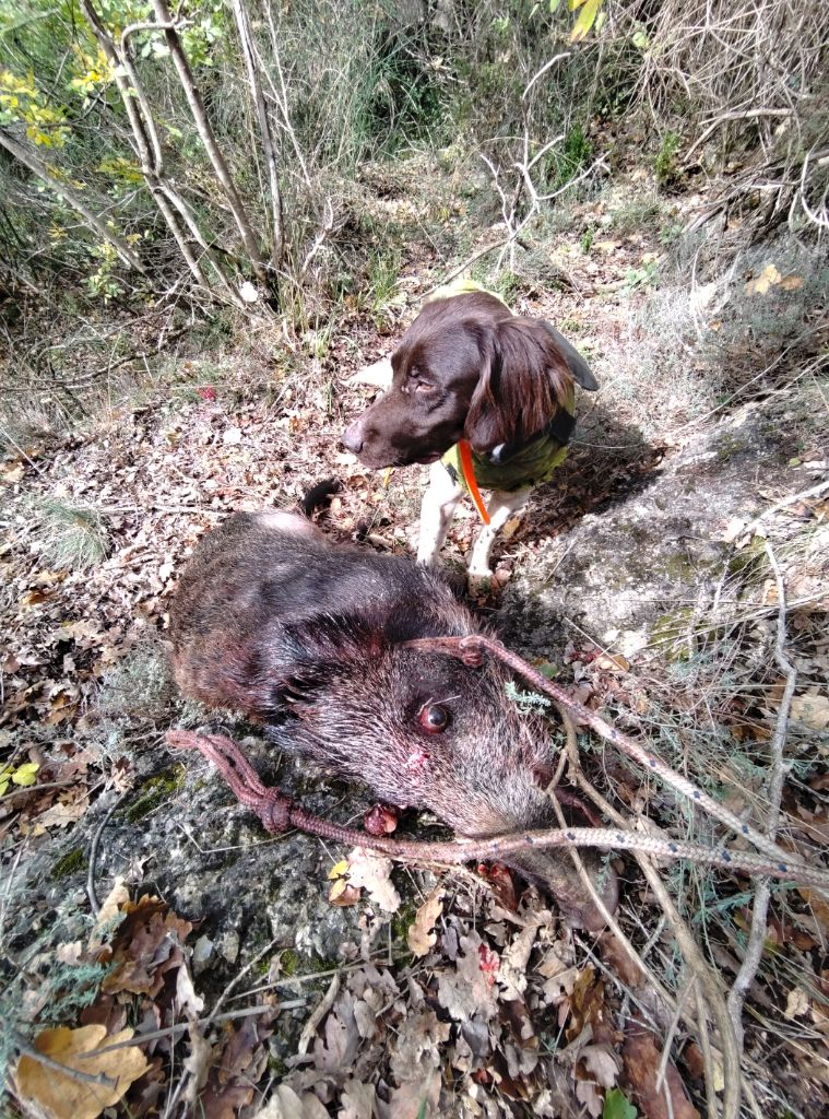 De la dent dure - Première manche du weekend terrible ...